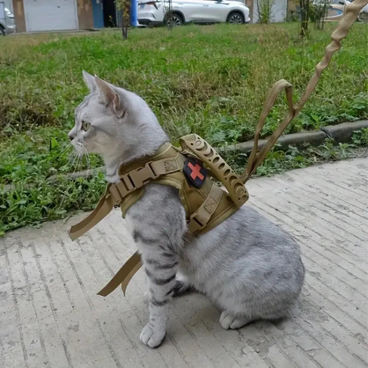 Khaki tactical cat chest harness vest lead rope anti-break adjustable walking cat leash dog small dog chain