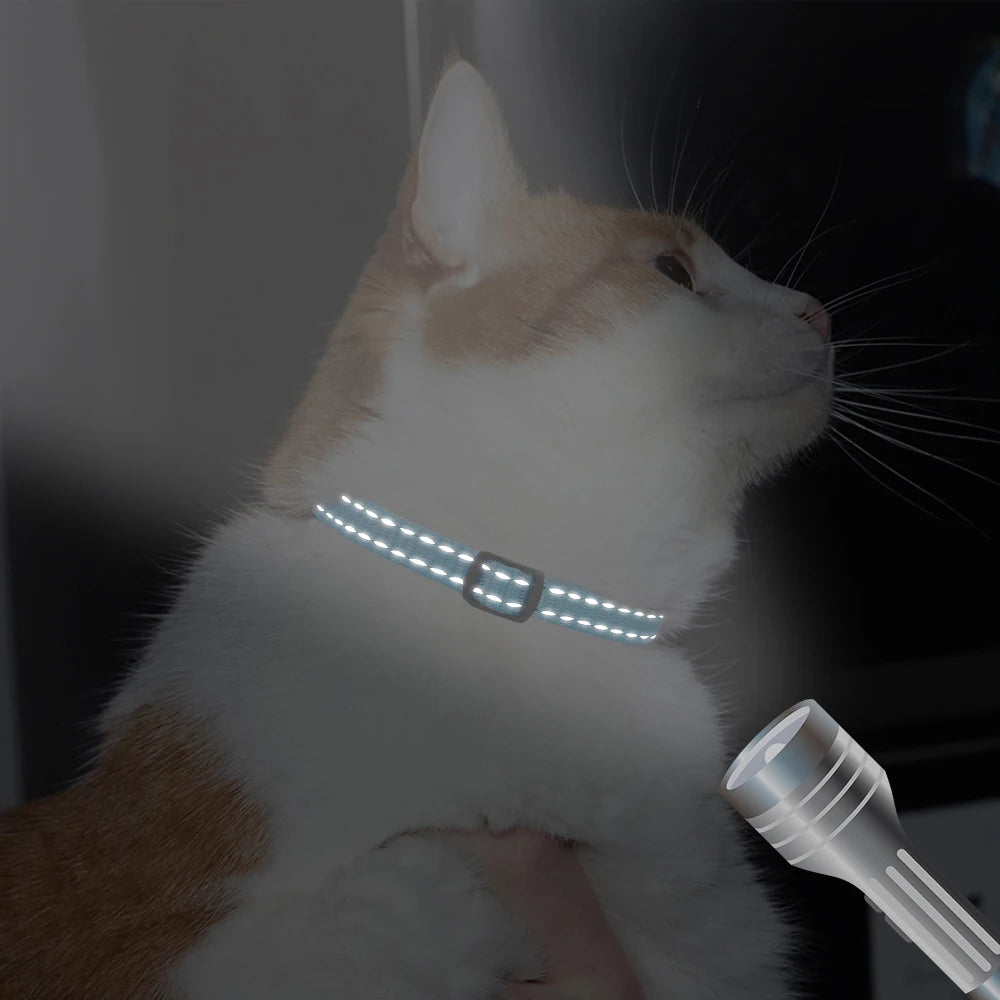 Collier chat réfléchissant sécurité optimale