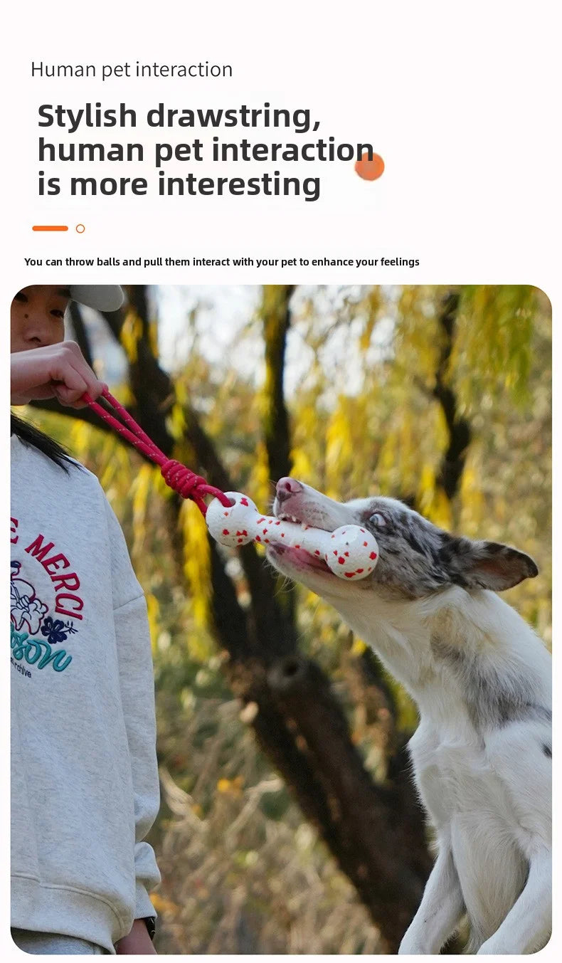 Dog interactive training toy with rope and bone for chewing - perfect for pet playtime!