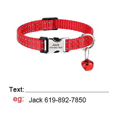 Collier chat réfléchissant sécurité optimale