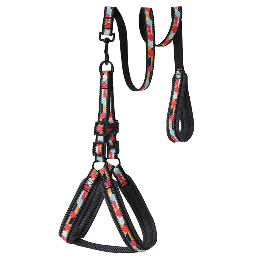 Dog Harness and Leash Set No Pull Reflective, Adjustable Padded Vest Harness for Small Medium Large Dogs, Easy Control Pet Walki