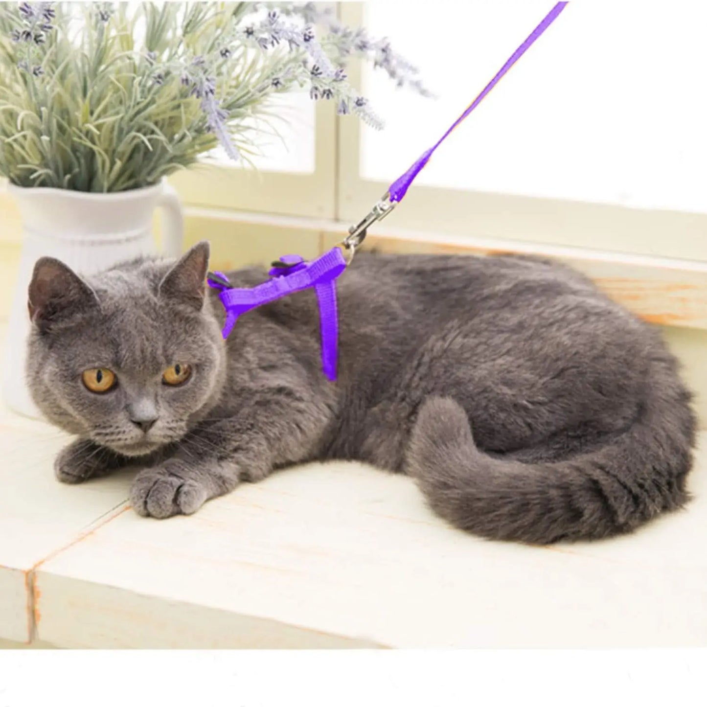 Kitten Cat Harness Leash Set Walking Escape Proof Adjustable Nylon Halter Collar Harness for Cats Puppy Rabbit Pet Accessories