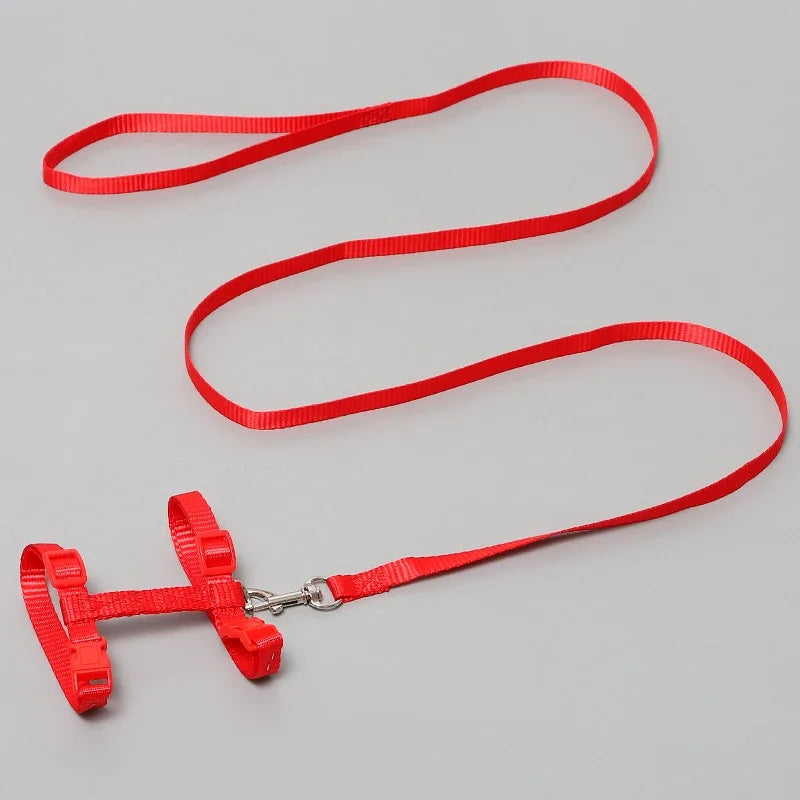 Kitten Cat Harness Leash Set Walking Escape Proof Adjustable Nylon Halter Collar Harness for Cats Puppy Rabbit Pet Accessories