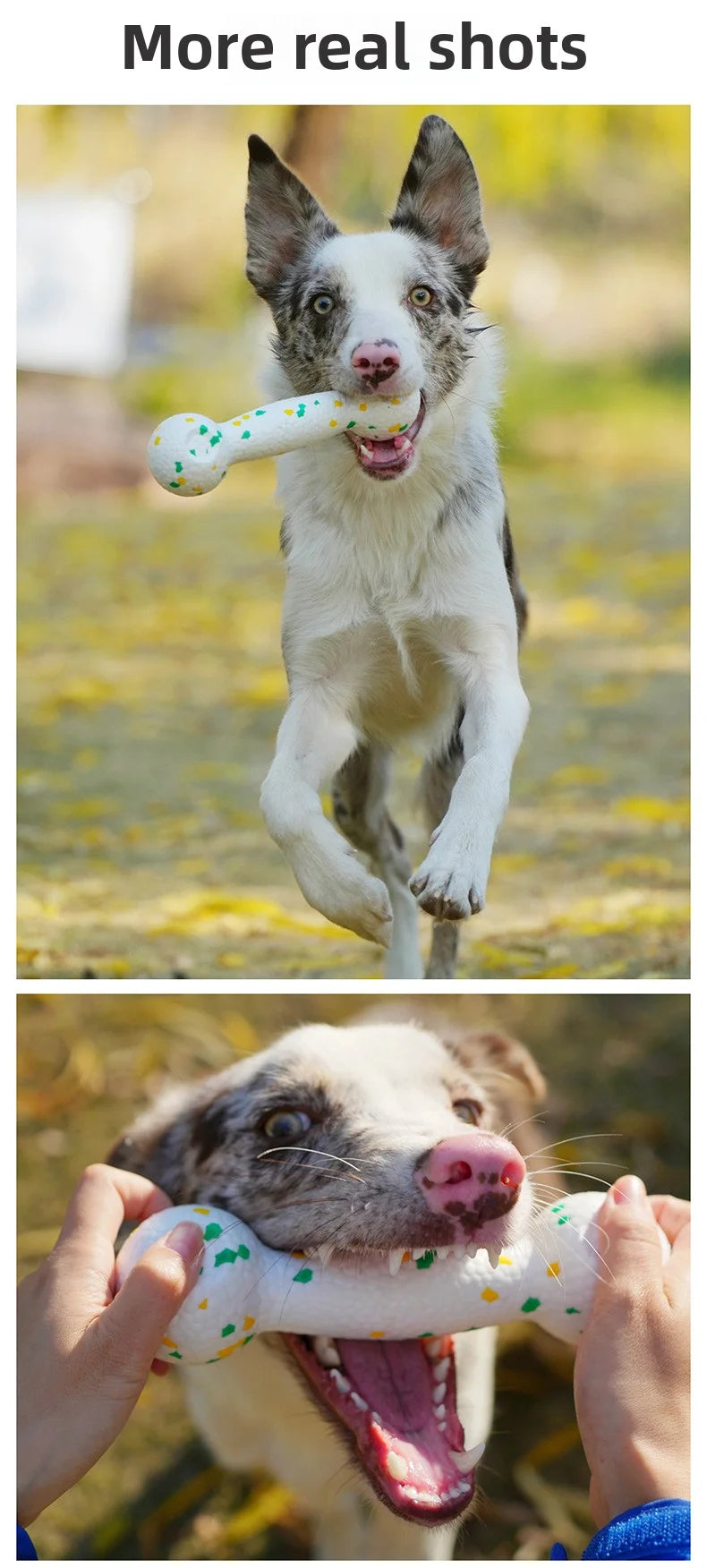 Dog interactive training toy with rope and bone for chewing - perfect for pet playtime!