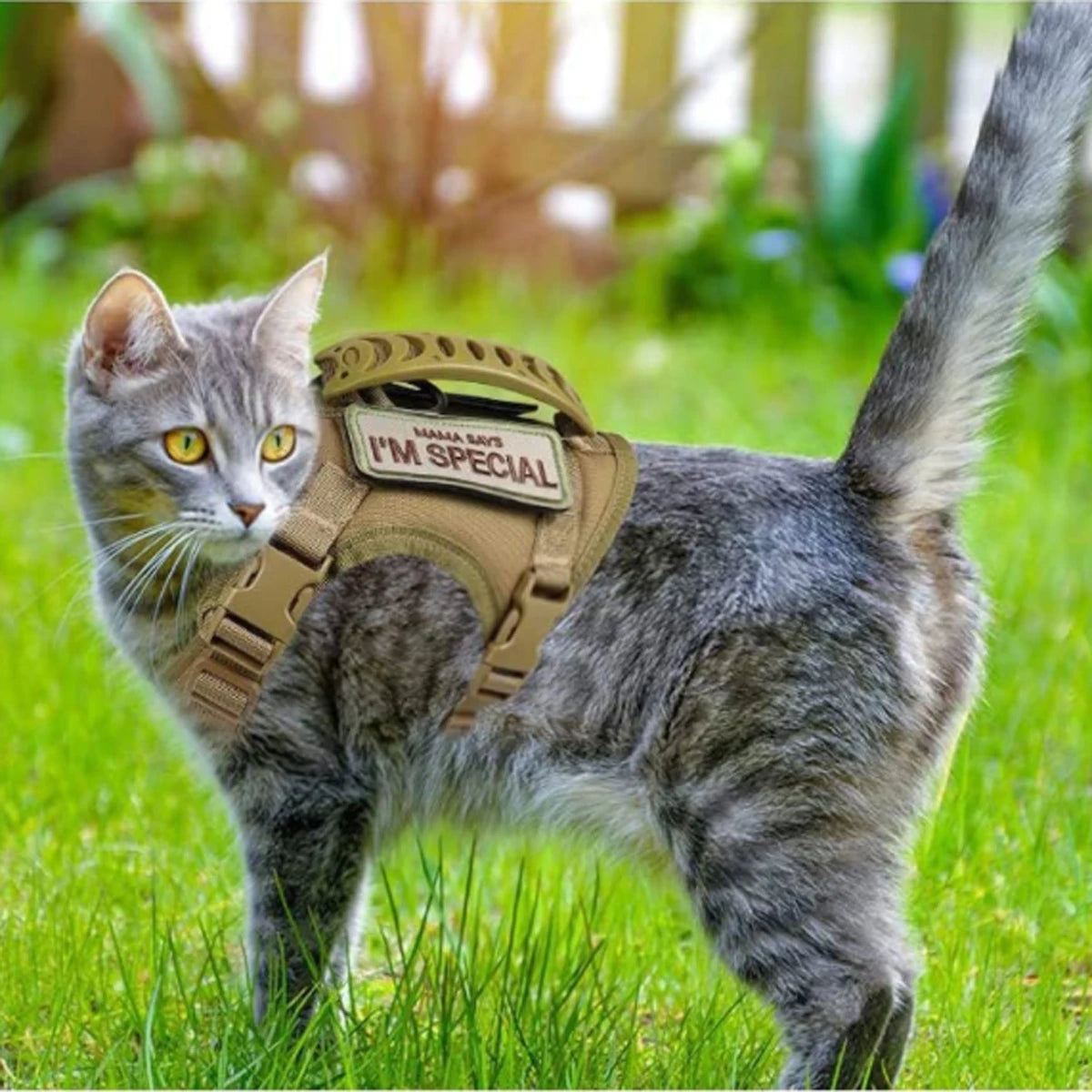Khaki tactical cat chest harness vest lead rope anti-break adjustable walking cat leash dog small dog chain