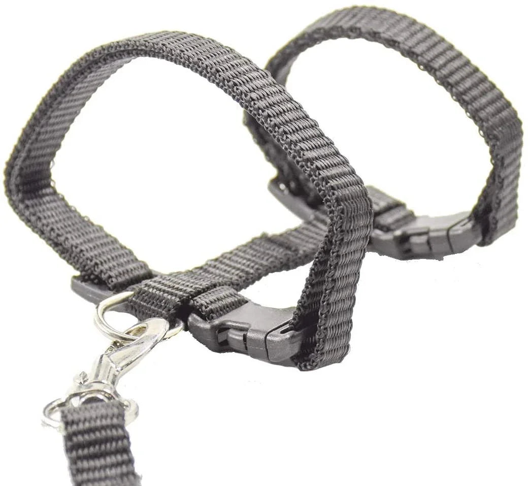 Kitten Cat Harness Leash Set Walking Escape Proof Adjustable Nylon Halter Collar Harness for Cats Puppy Rabbit Pet Accessories