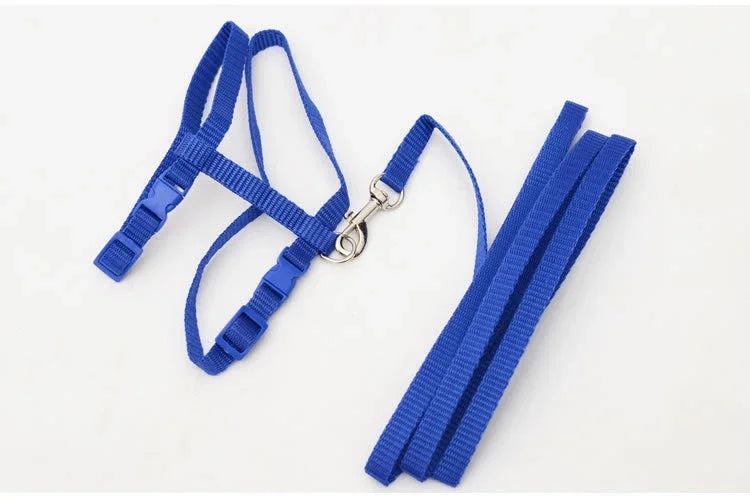 Kitten Cat Harness Leash Set Walking Escape Proof Adjustable Nylon Halter Collar Harness for Cats Puppy Rabbit Pet Accessories
