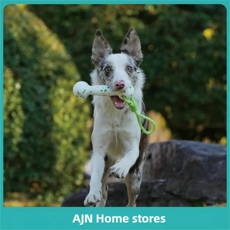 Dog interactive training toy with rope and bone for chewing - perfect for pet playtime!