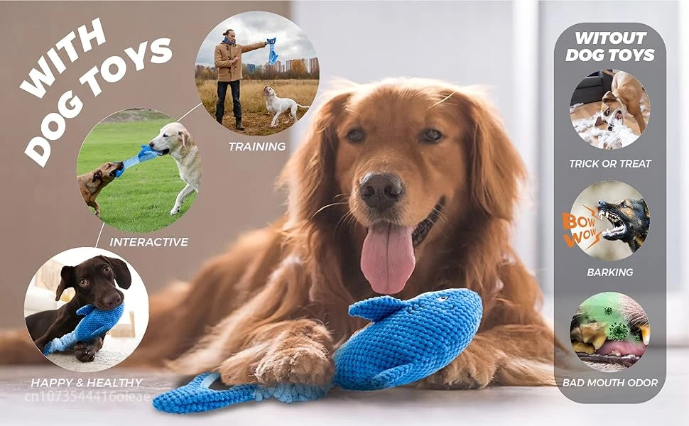 Squeaky Dog Toys for Aggressive Chewers Small Mediym Large Dog Golden Toys to Keep Them Busy Interactive Puppy Toys Tug of War