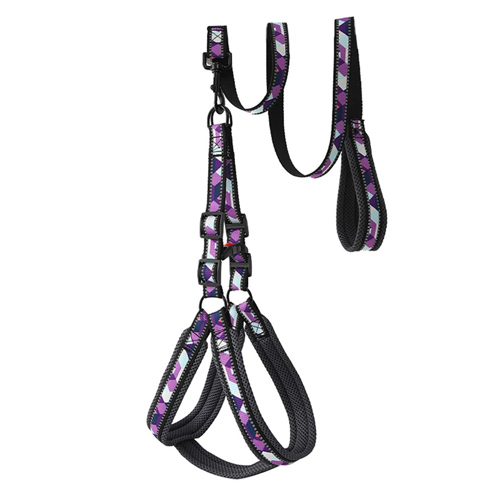 Dog Harness and Leash Set No Pull Reflective, Adjustable Padded Vest Harness for Small Medium Large Dogs, Easy Control Pet Walki